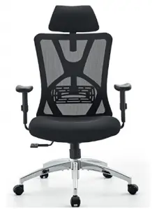 best ergonomic office chair under 300