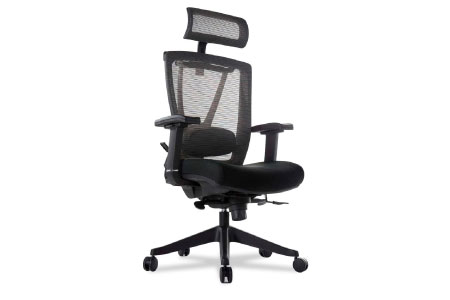 Autonomous Premium 2021 Ergonomic Office Chair